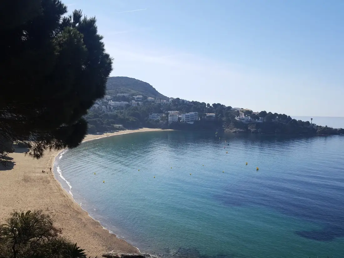 Location de Vacances Roses 1175