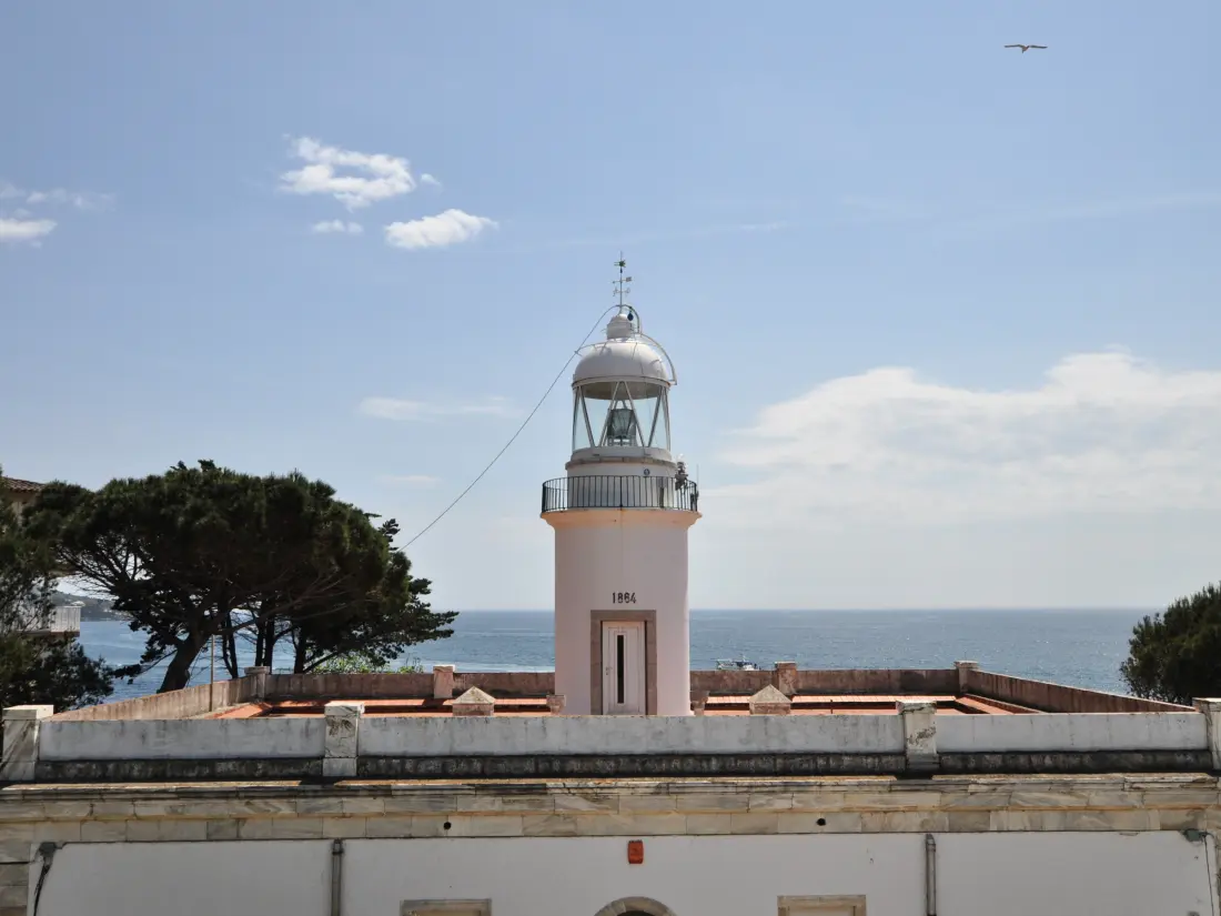 Location de Vacances Roses 1175