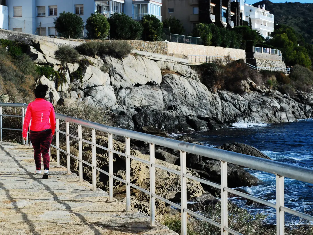 Location de Vacances Roses 1175