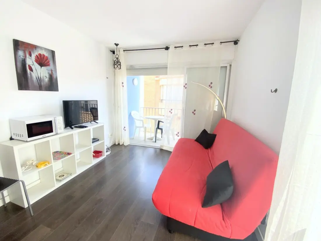 Location de Vacances Roses 1176