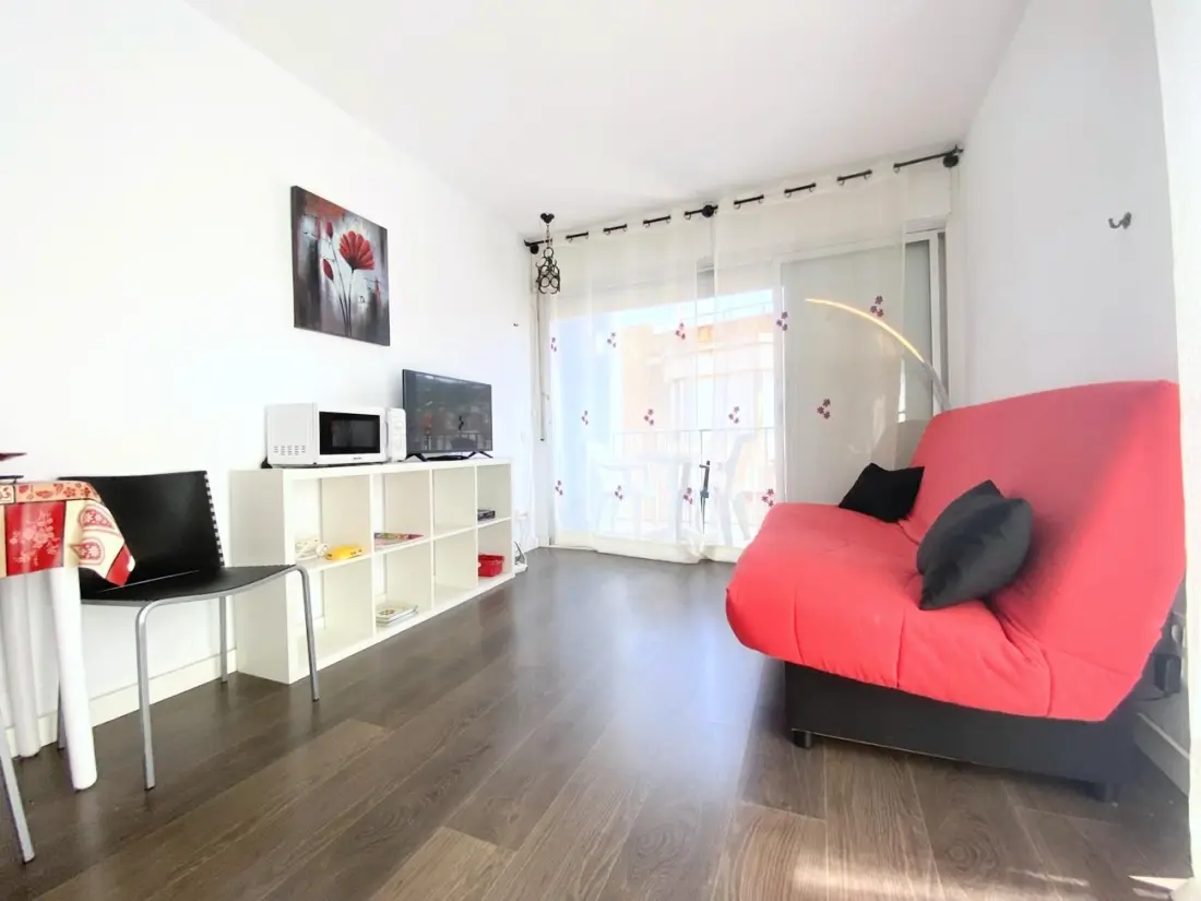 Location de Vacances Roses 1176