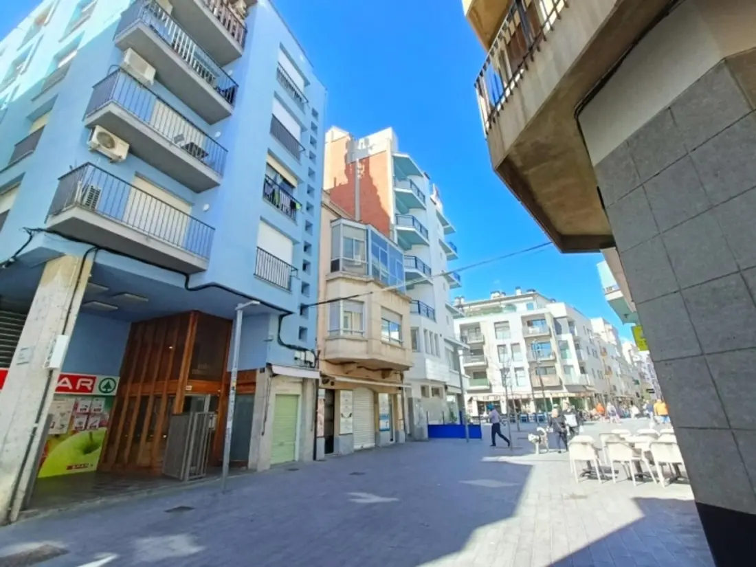 Location de Vacances Roses 1177