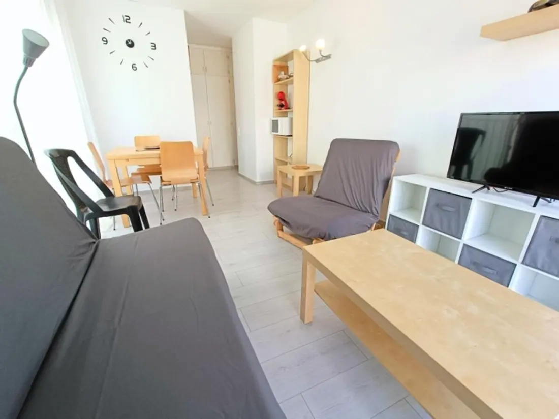Location de Vacances Roses 1177