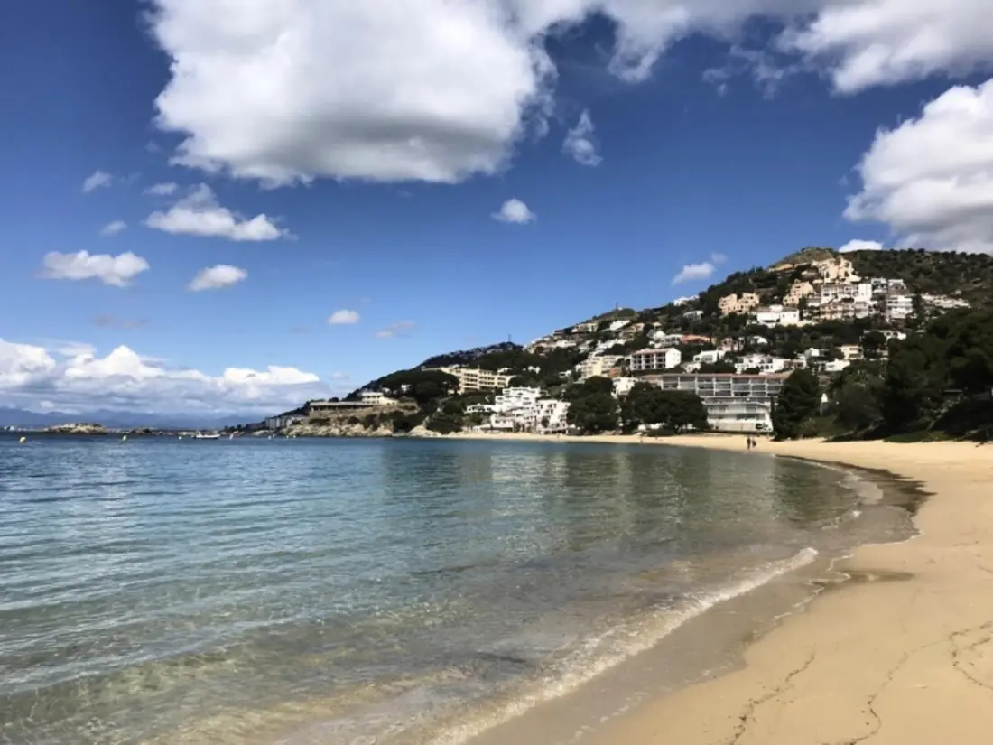 Location de Vacances Roses 1177