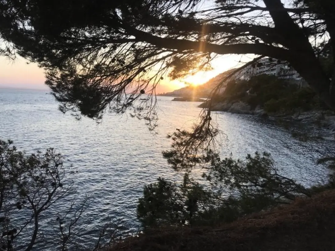 Location de Vacances Roses 1177