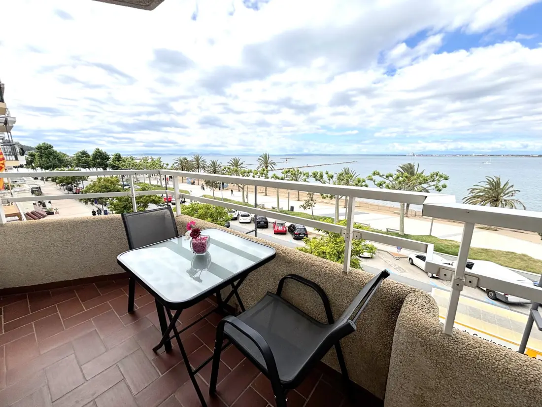 Location de Vacances Roses 1179