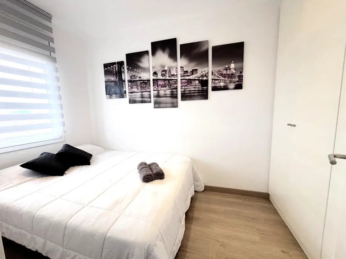 Location de Vacances Roses 1179