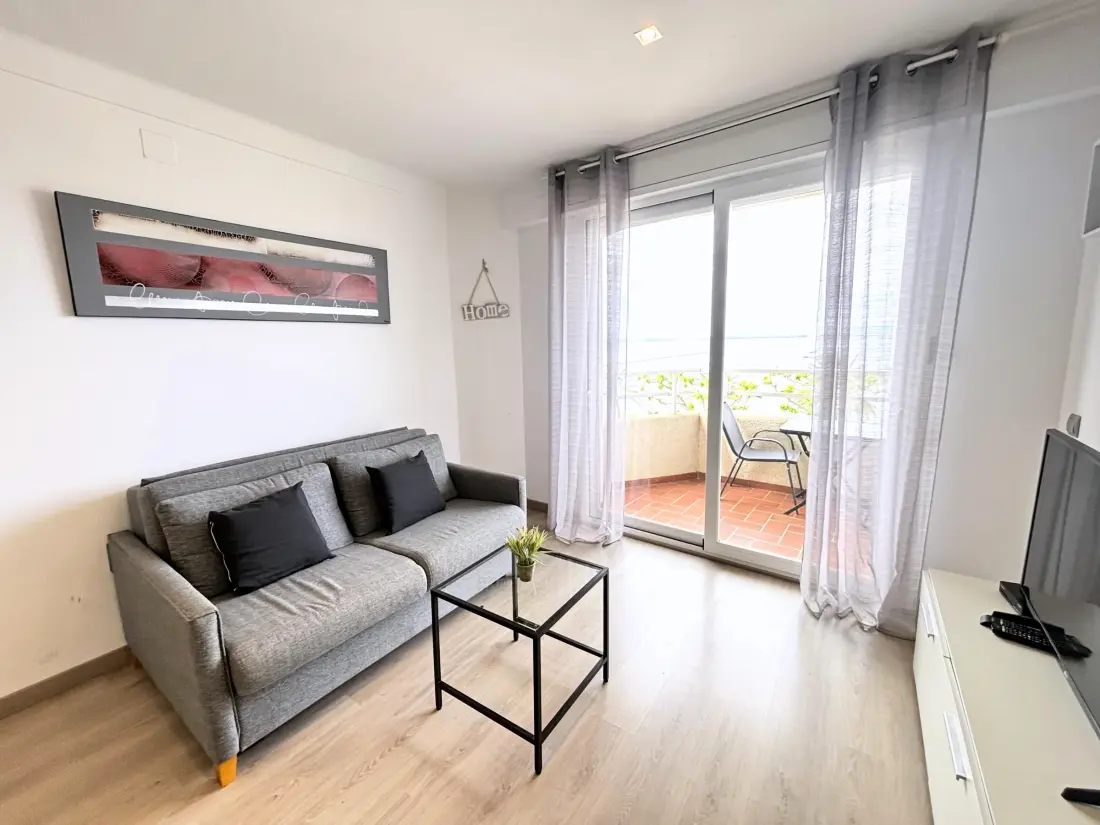 Location de Vacances Roses 1179