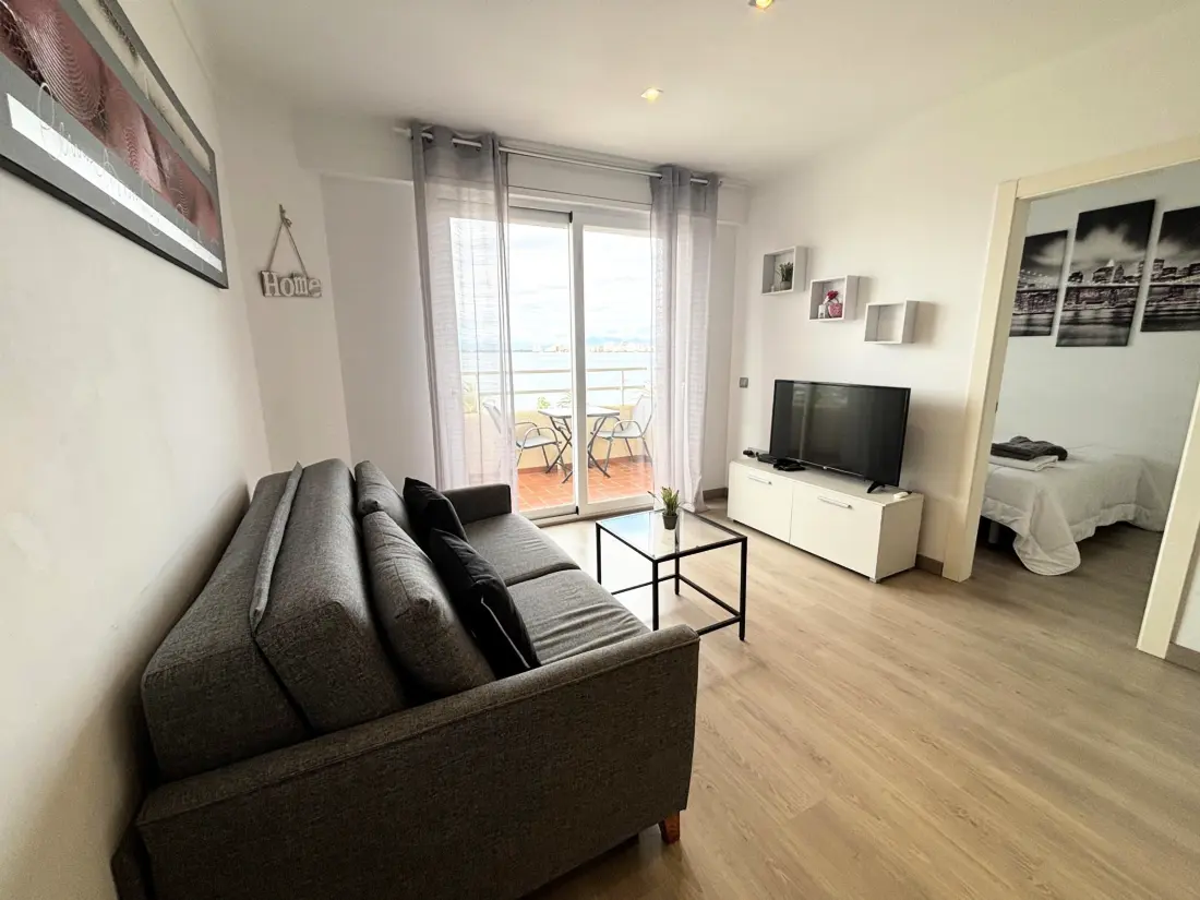 Location de Vacances Roses 1179