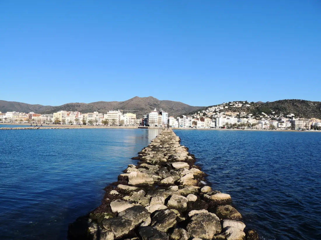 Location de Vacances Roses 1185
