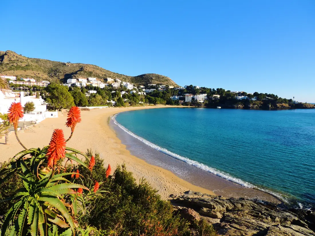 Location de Vacances Roses 1189