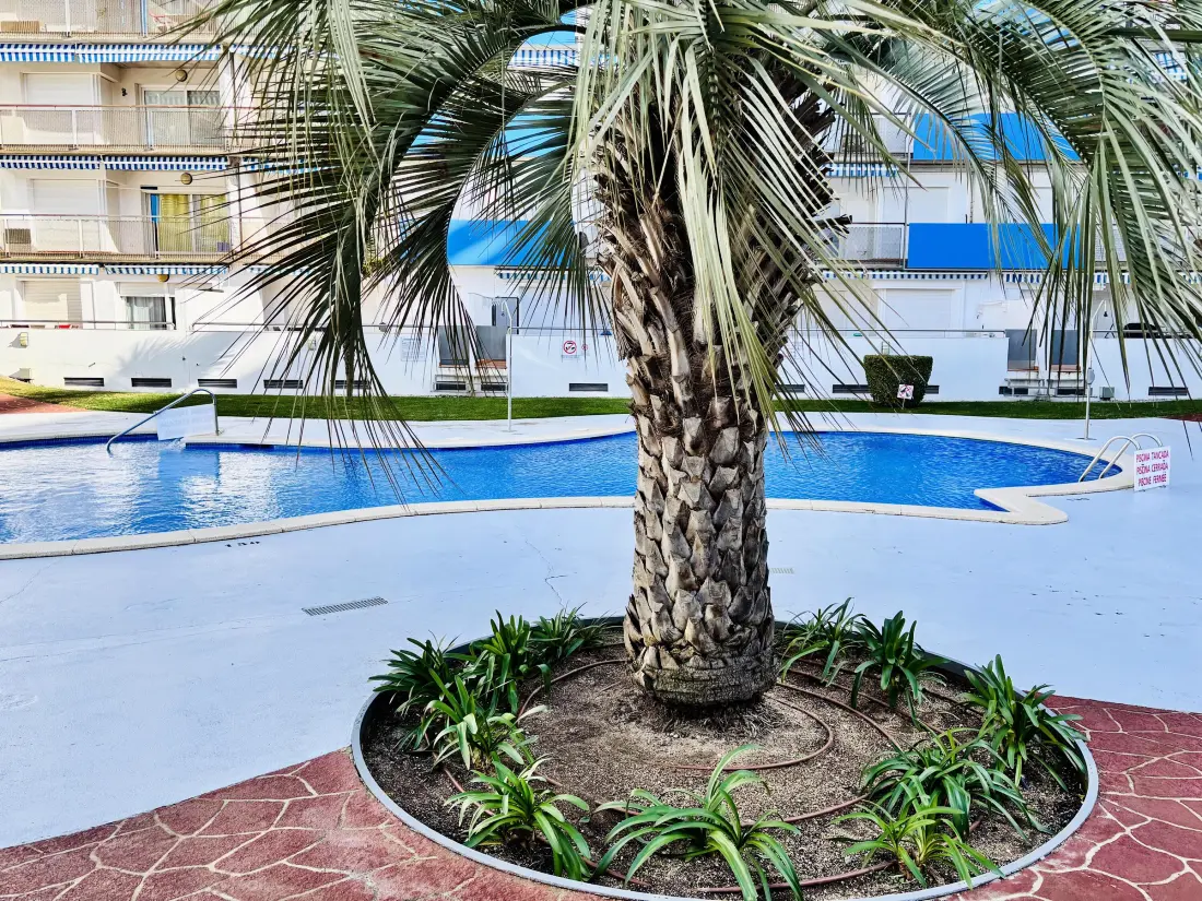 Location de Vacances Roses 1195