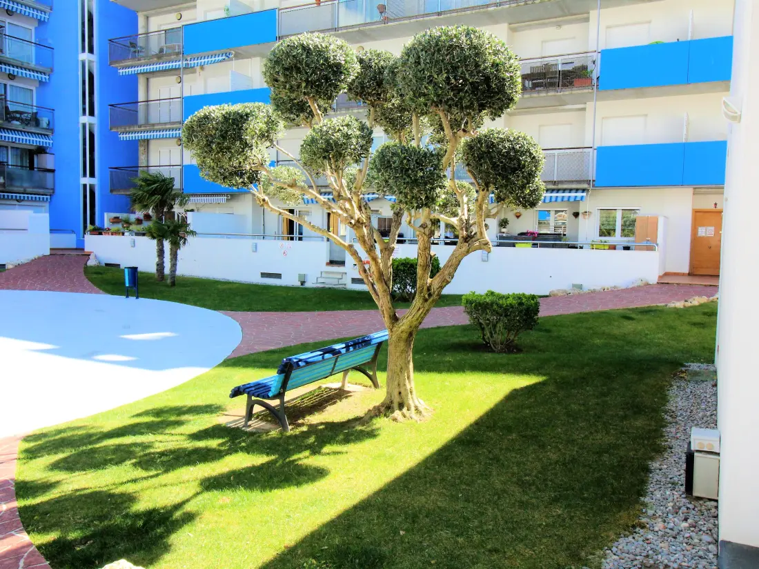 Location de Vacances Roses 1195