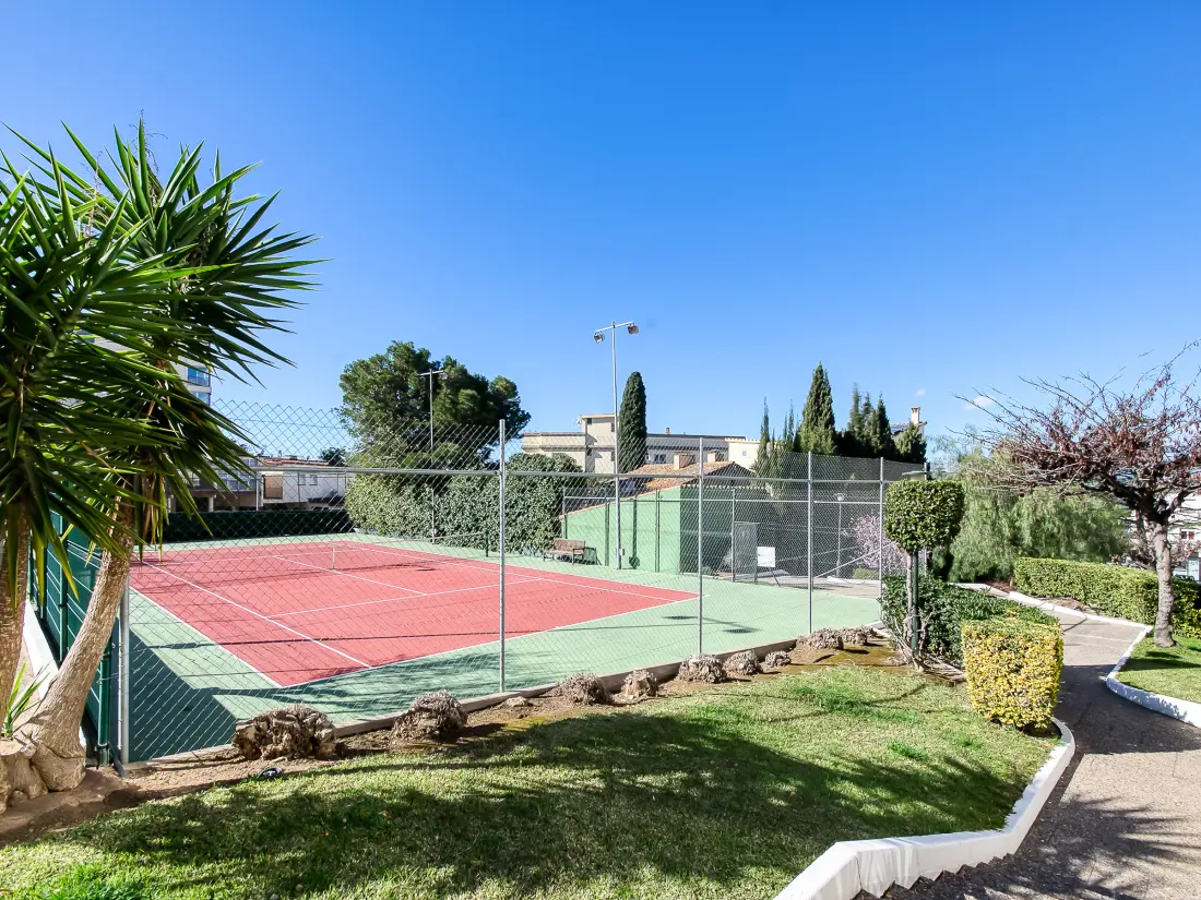 Location de Vacances Roses 1197