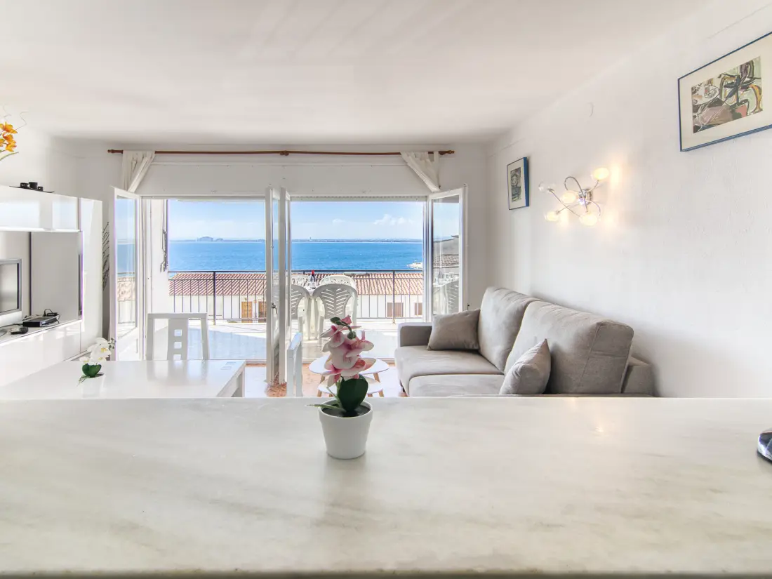 Location de Vacances Roses 1198