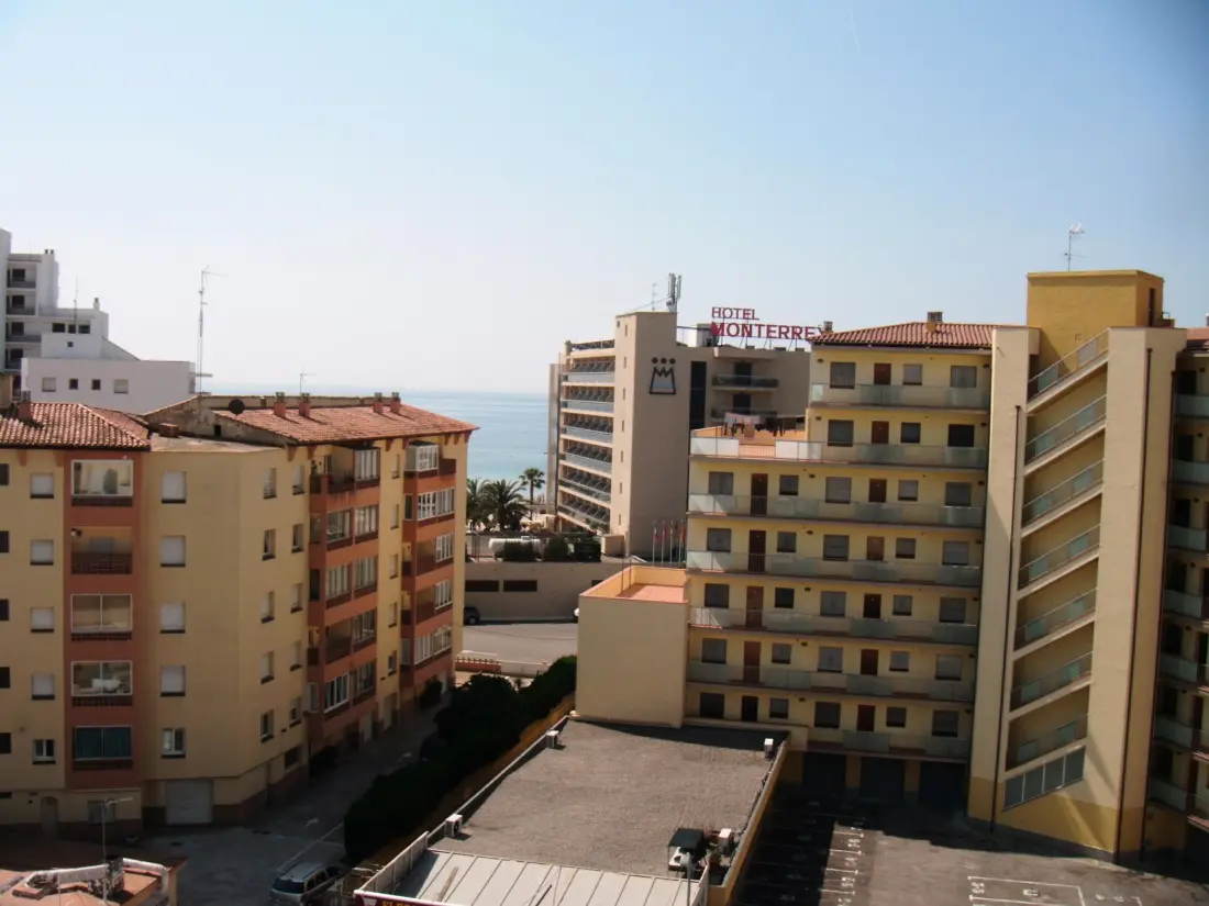 Location de Vacances Roses 120