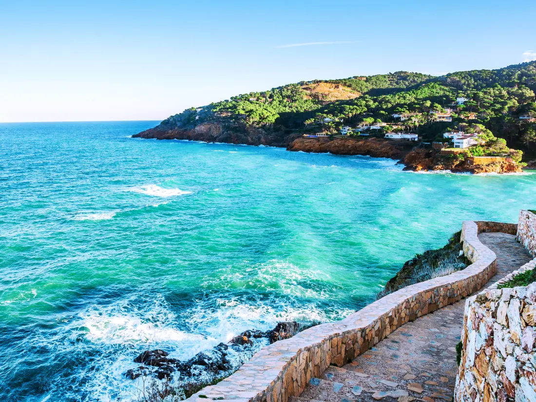 Location de Vacances Roses 1205