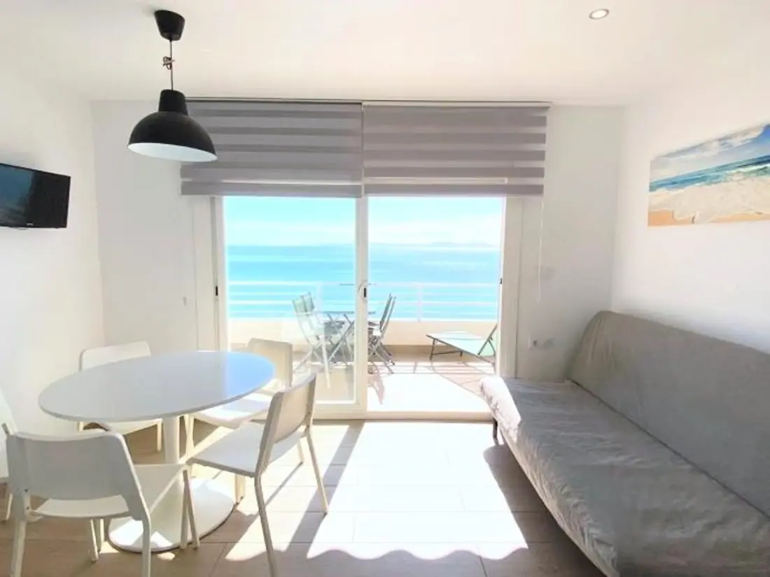 Location de Vacances Roses 1209