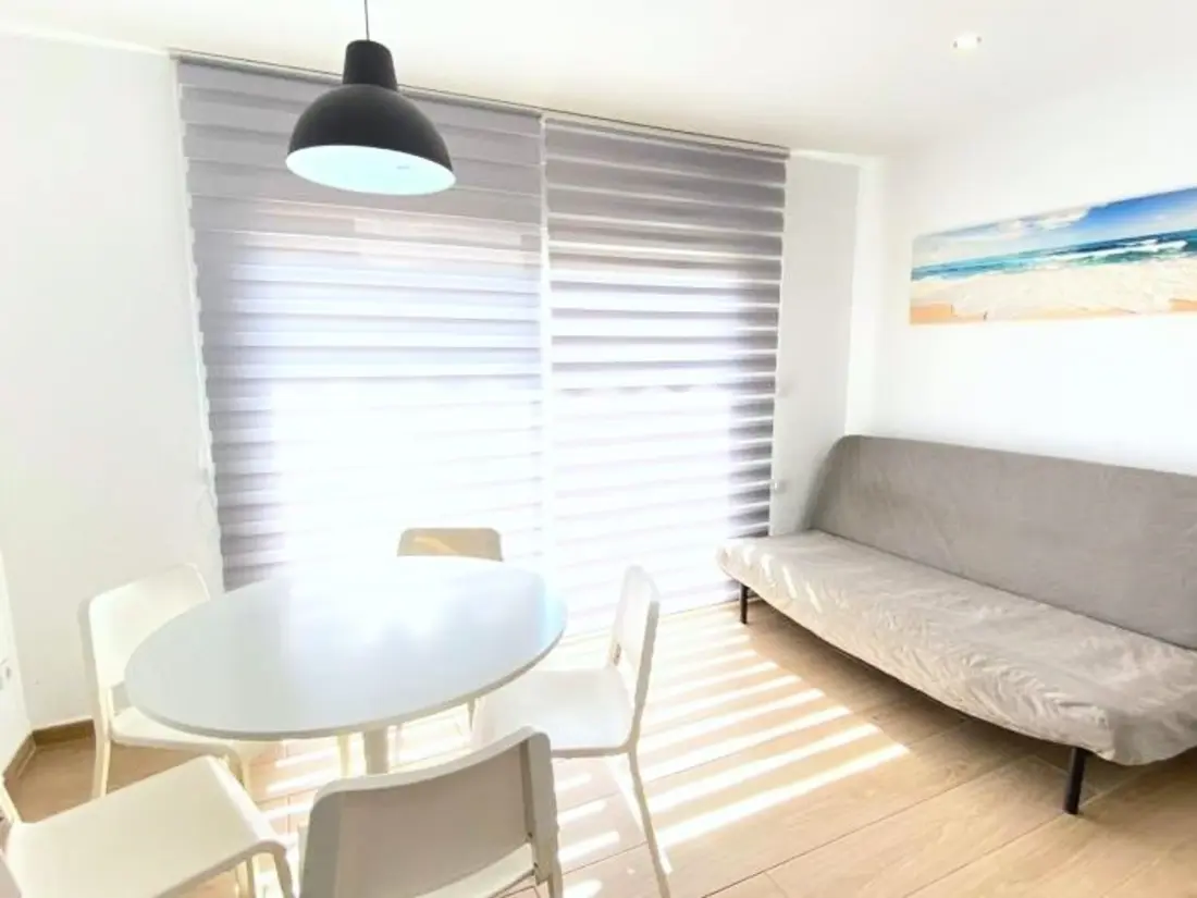 Location de Vacances Roses 1209