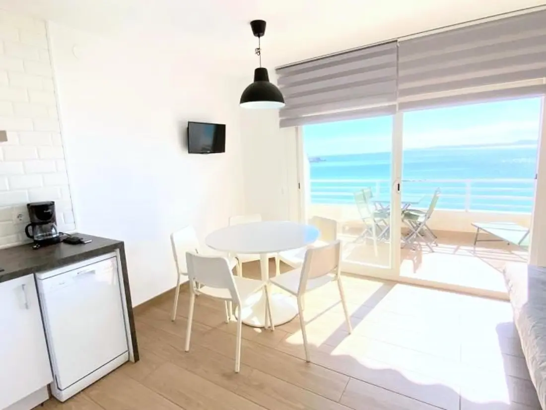 Location de Vacances Roses 1209