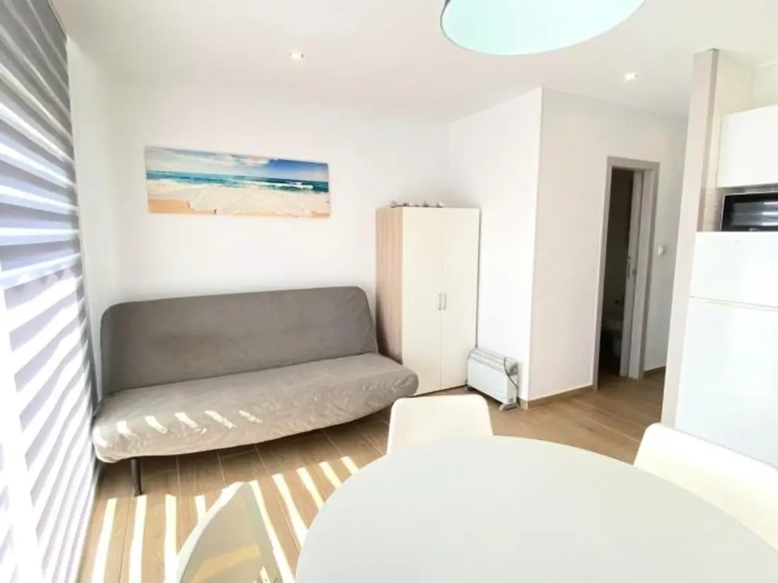 Location de Vacances Roses 1209
