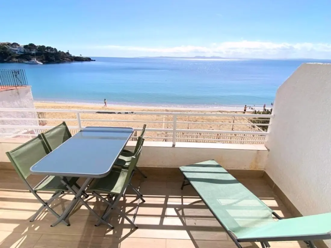 Location de Vacances Roses 1209