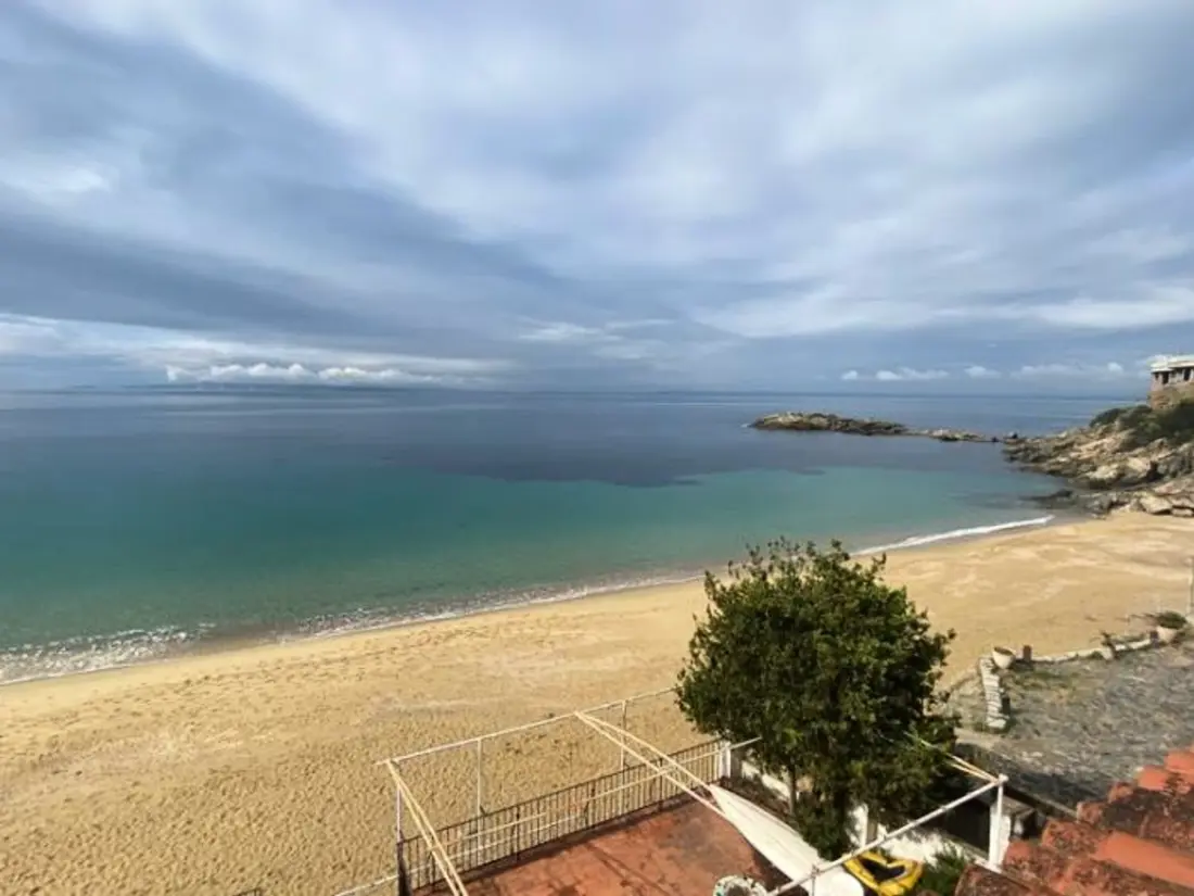 Location de Vacances Roses 1209