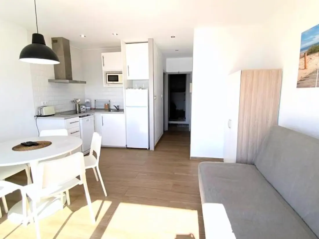 Location de Vacances Roses 1210