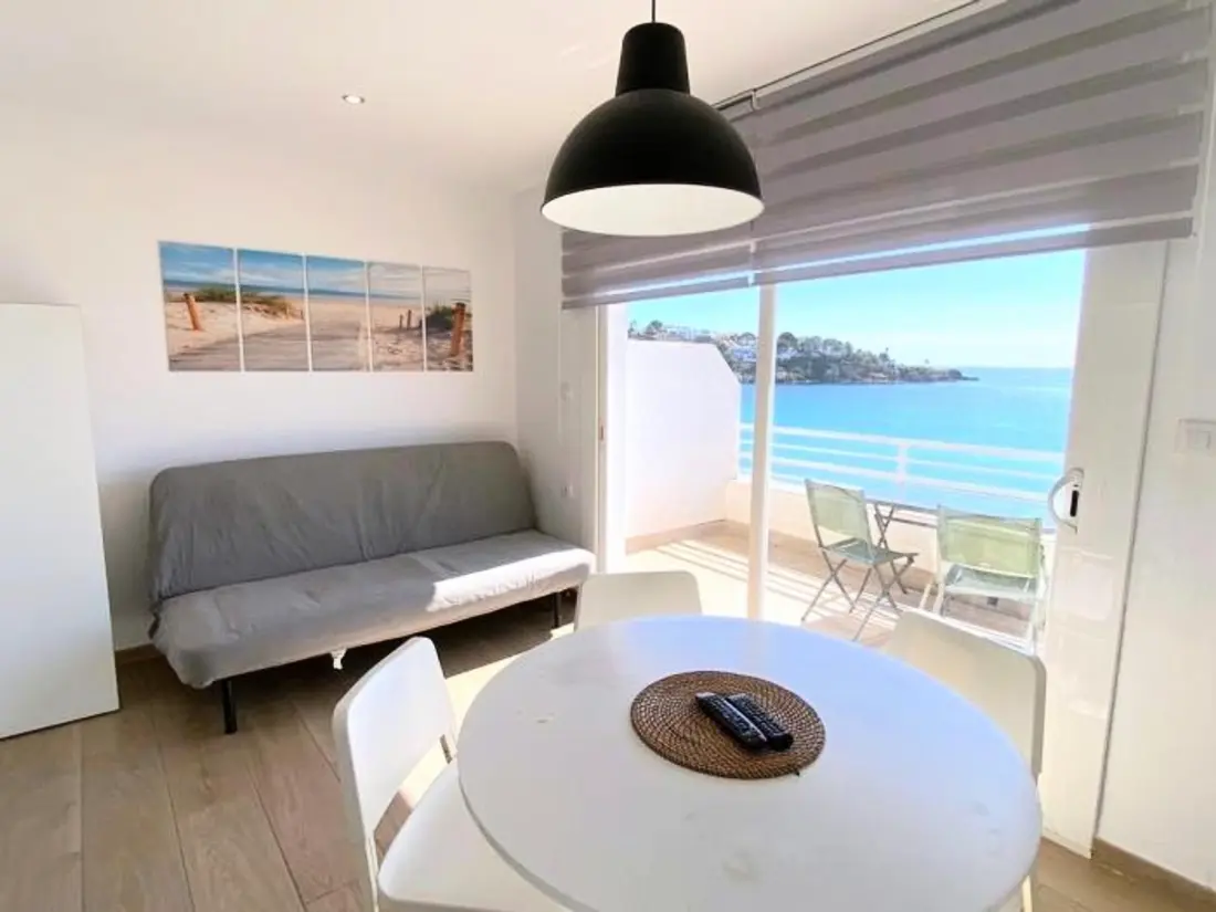 Location de Vacances Roses 1210