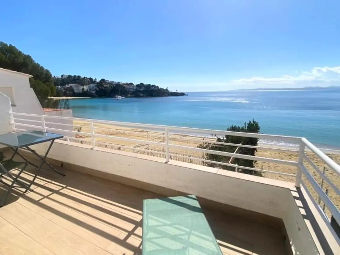 Location de Vacances Roses 1210
