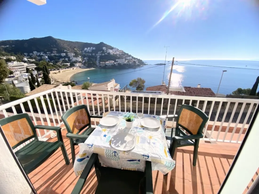 Location de Vacances Roses 1211