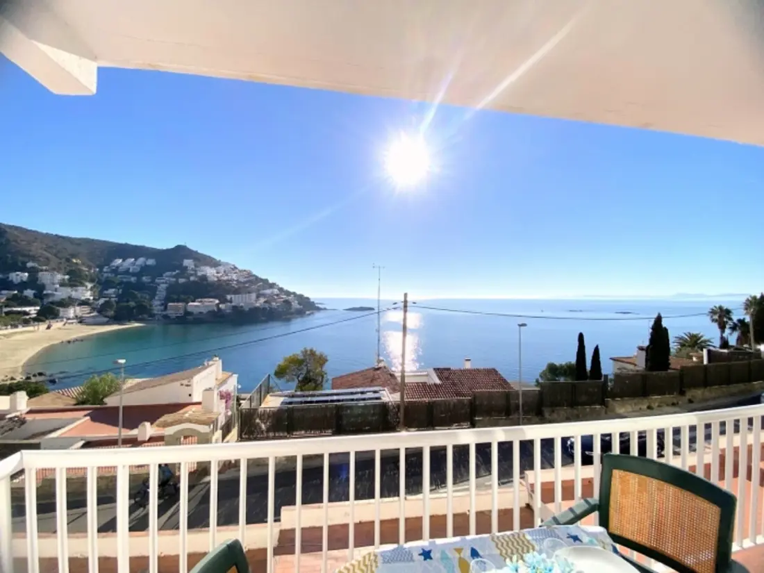 Location de Vacances Roses 1211
