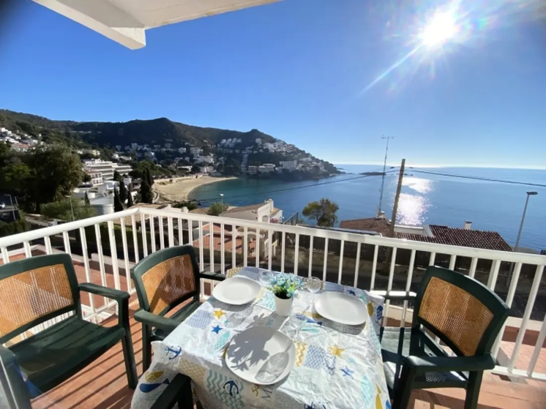 Location de Vacances Roses 1211