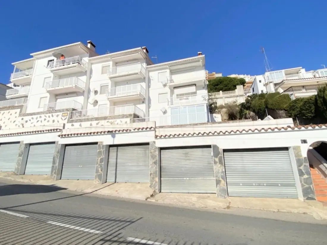 Location de Vacances Roses 1211