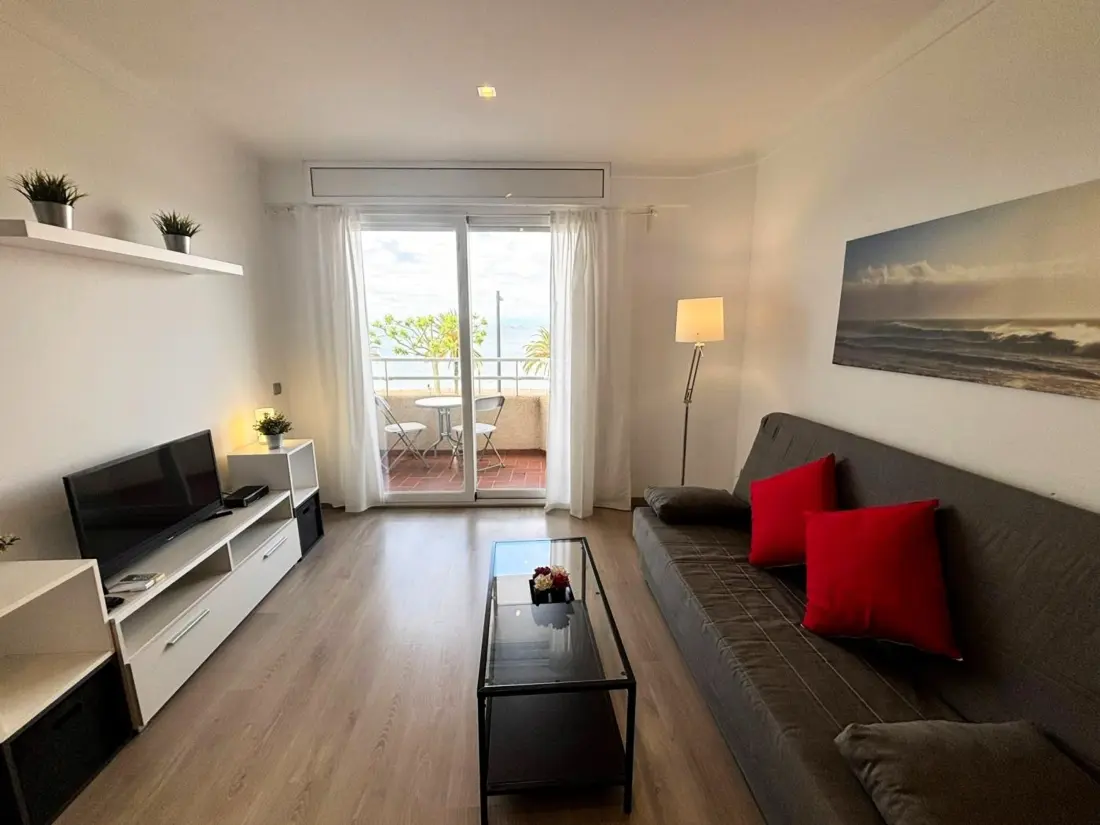 Location de Vacances Roses 1215