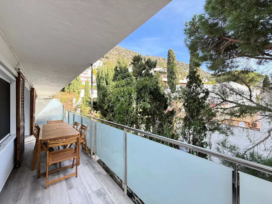 Location de Vacances Roses 1221
