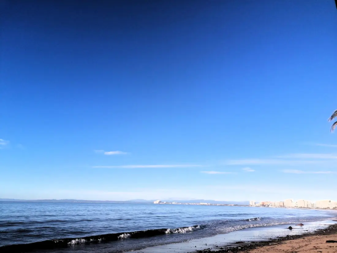 Location de Vacances Roses 1222