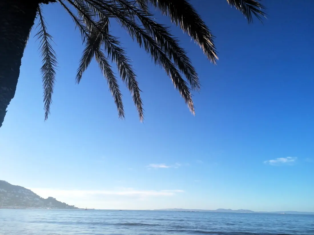 Location de Vacances Roses 1222