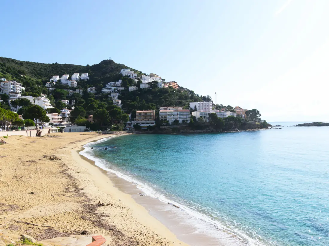 Location de Vacances Roses 1222