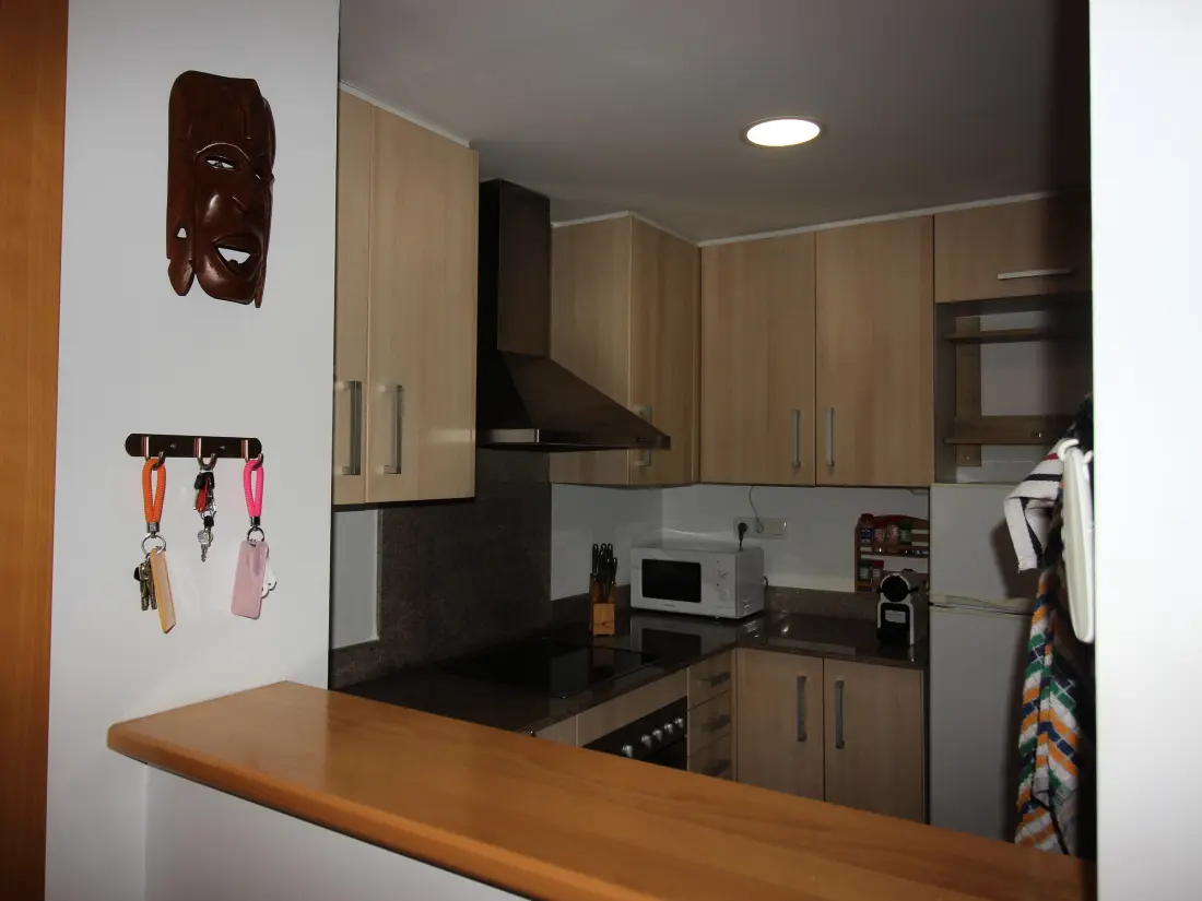 Location de Vacances Roses 1226