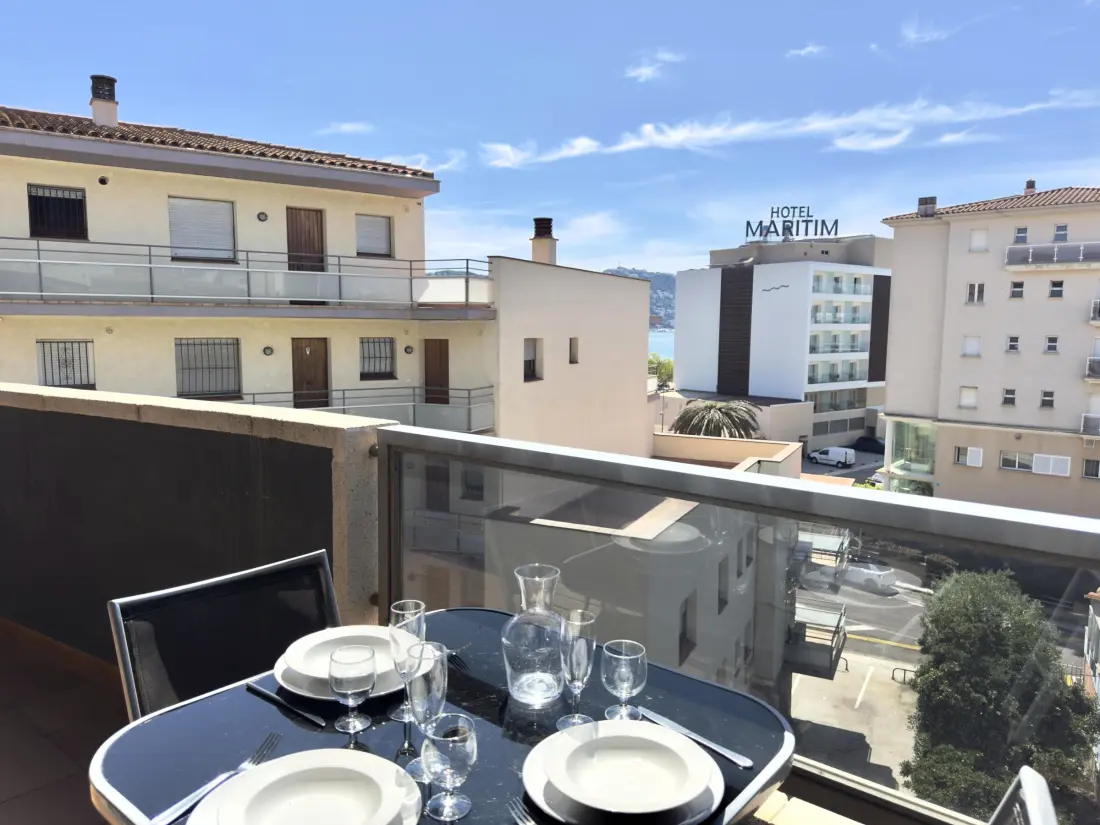 Location de Vacances Roses 1235