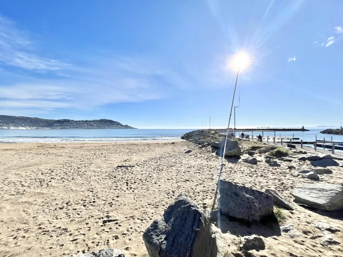 Location de Vacances Roses 1235