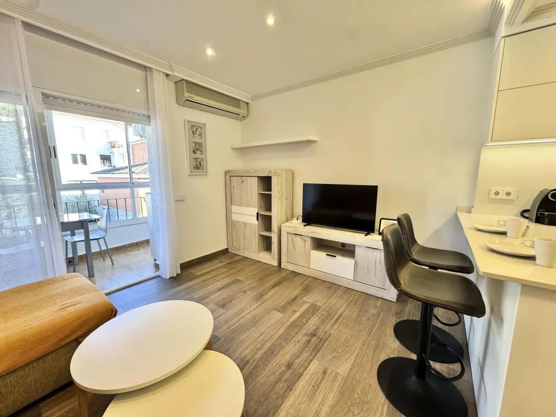 Location de Vacances Roses 1236