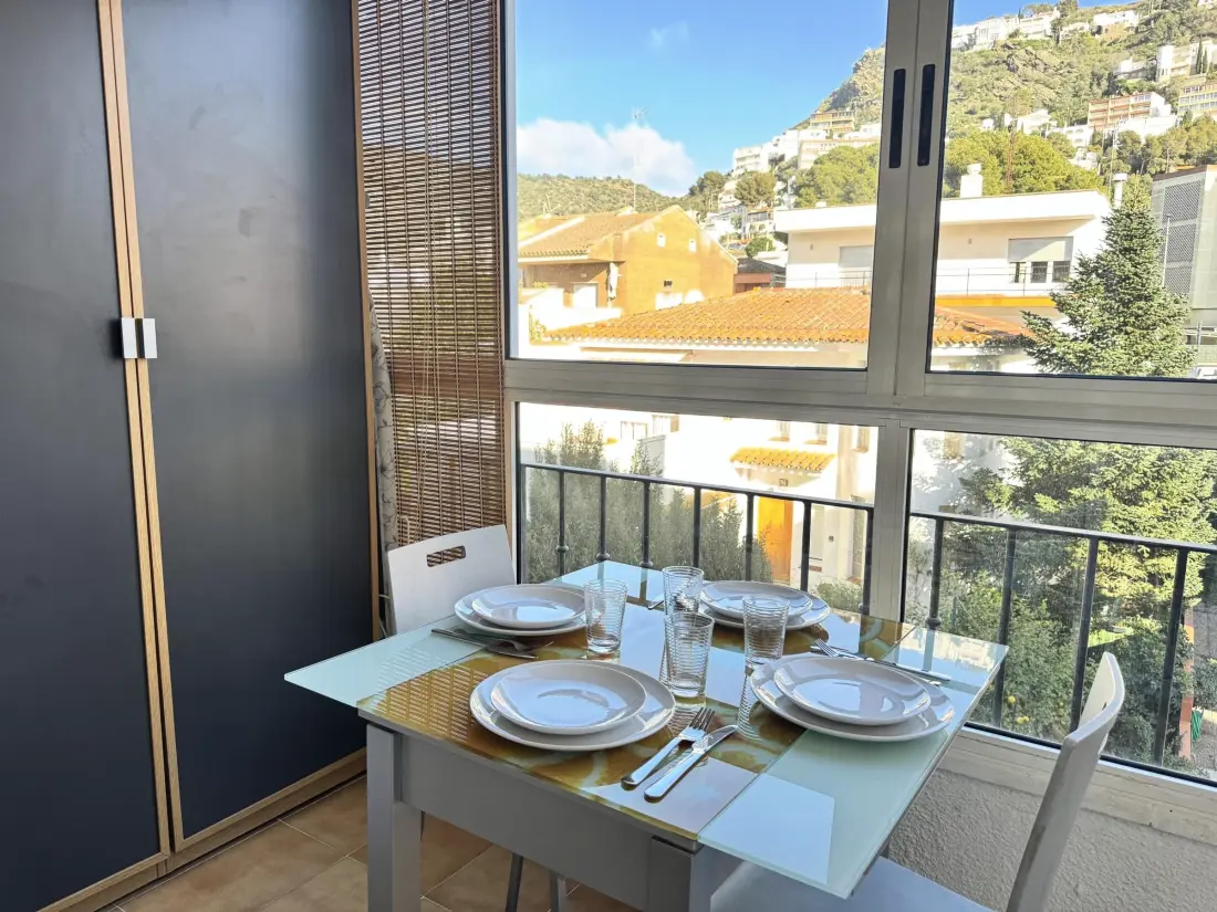 Location de Vacances Roses 1236