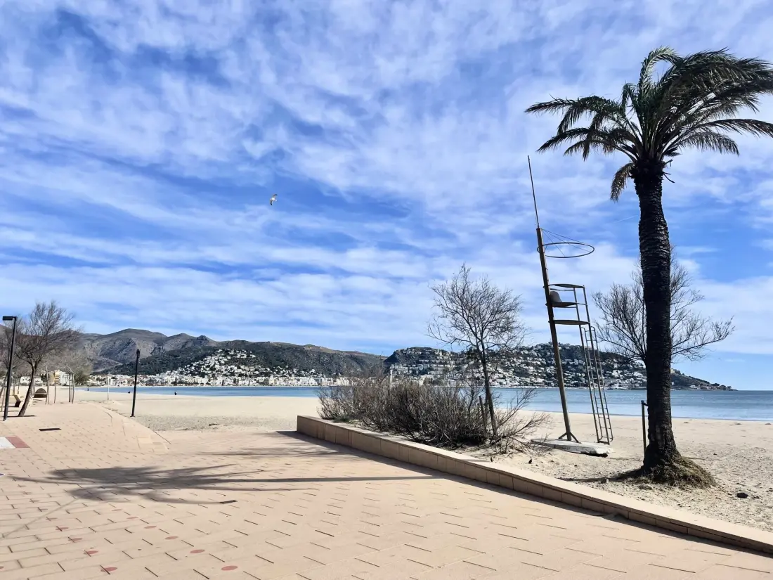 Location de Vacances Roses 1237
