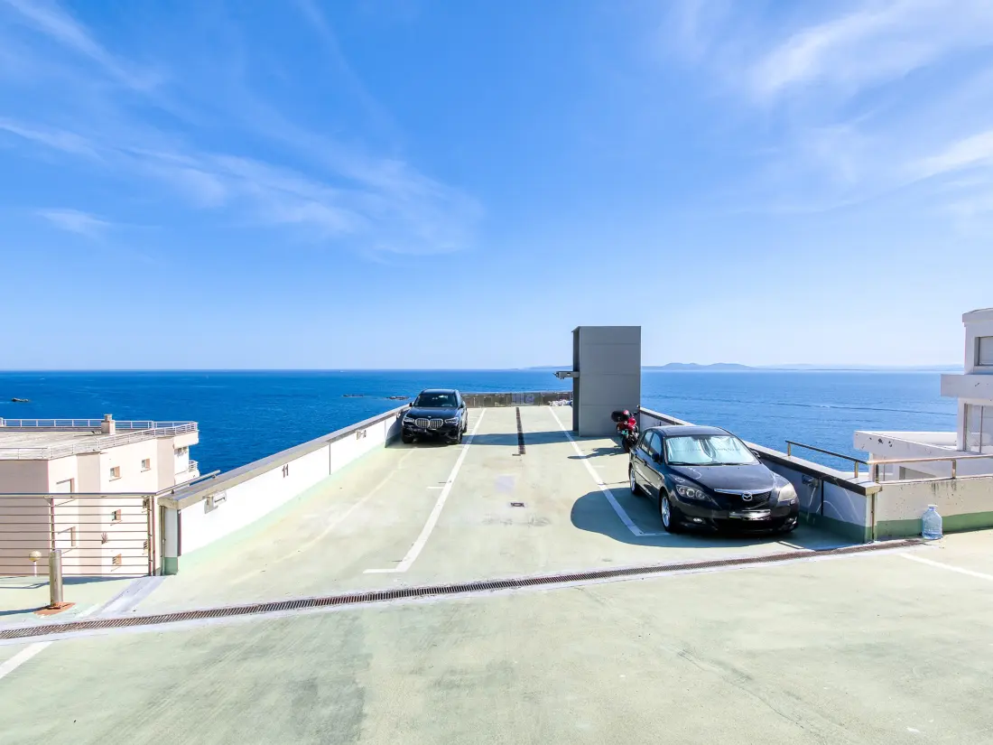 Location de Vacances Roses 1245