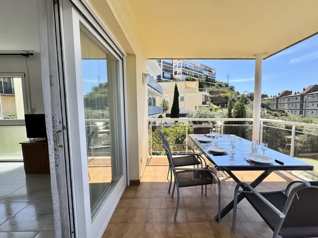 Location de Vacances Roses 1249