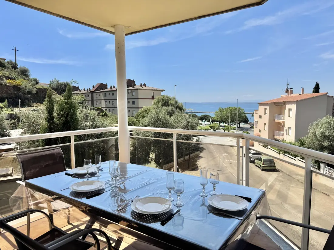 Location de Vacances Roses 1249
