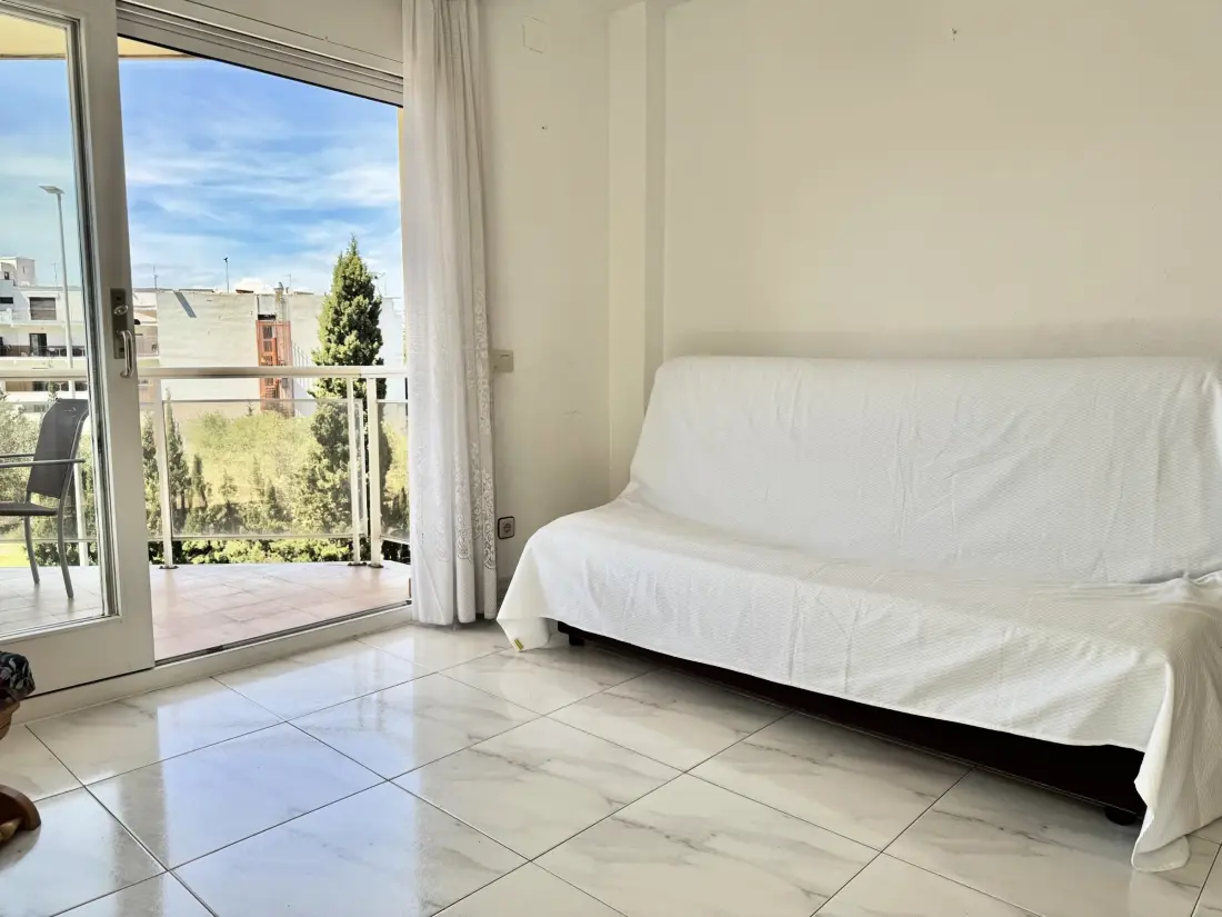 Location de Vacances Roses 1249