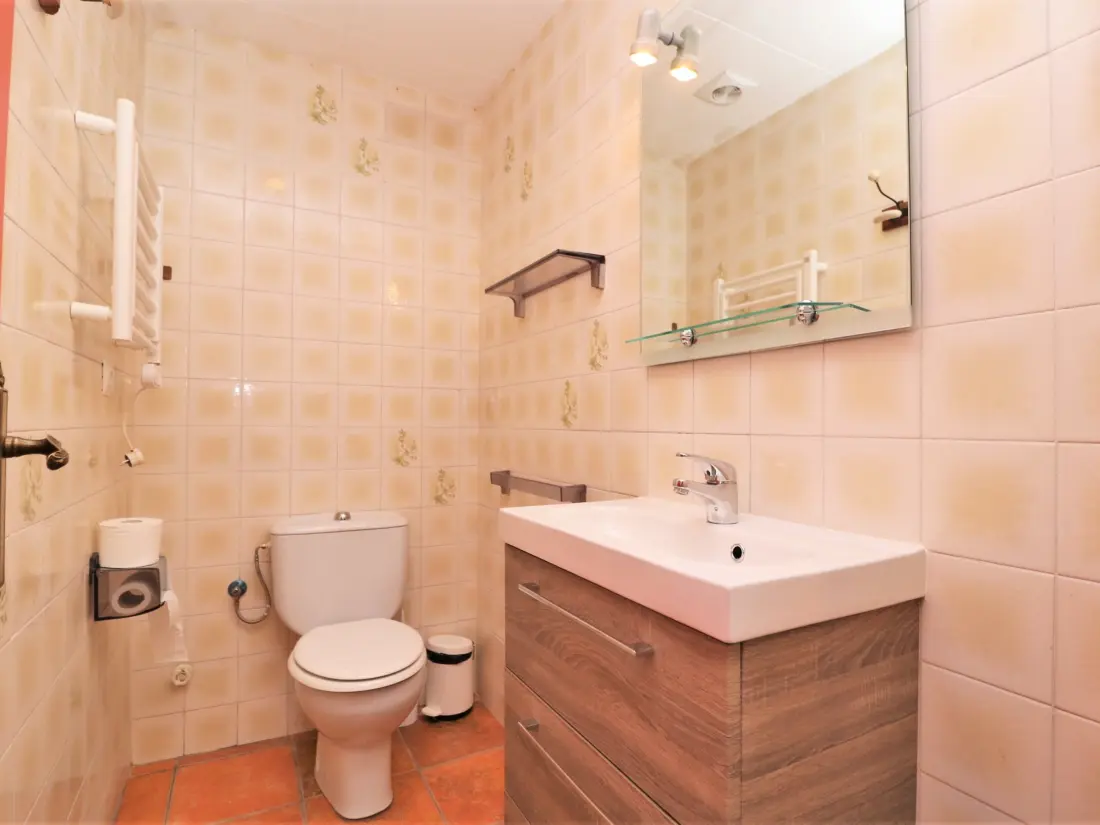 Location de Vacances Roses 1250